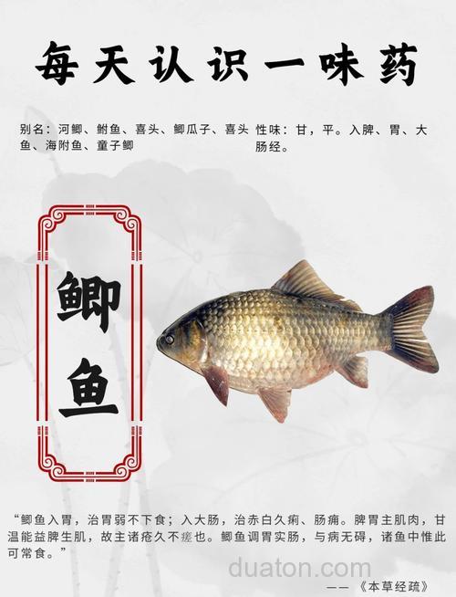 中药鱼喜欢酸哪几种