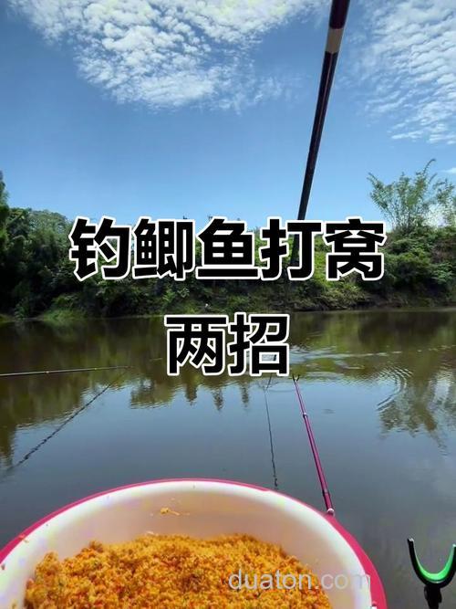 鲫鱼抽窝子一般抽多少下？