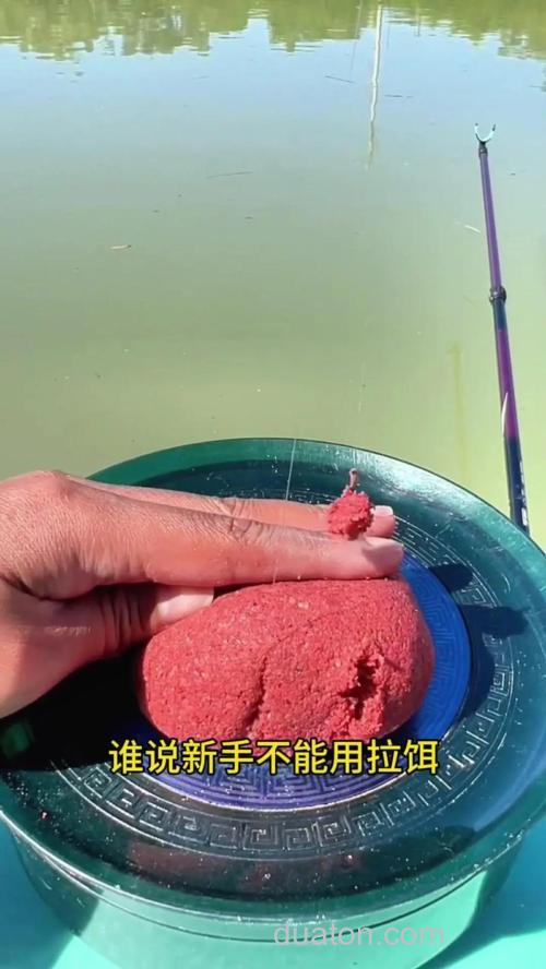 如何开好拉饵(转)