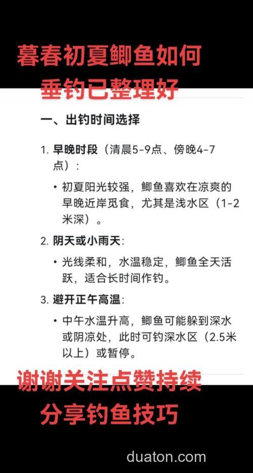 什么时间段钓鲫鱼最合适