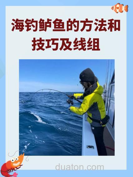 厦门海钓好去处及技巧全解析,钓点选择与潮汐影响很关键