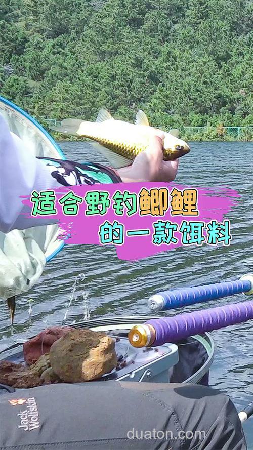夏天钓鲤鱼用,老鬼的螺鲤系列好吗?(大河)?
