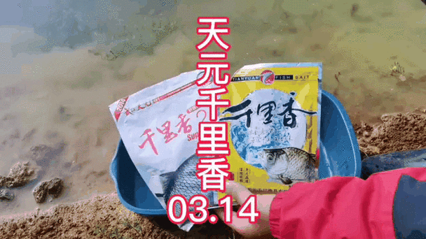 天元千里香的正确使用方法？