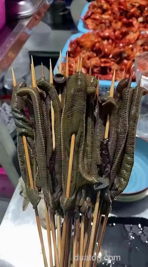 香虎酒可蘸蚯蚓吗?