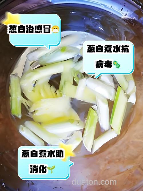 大葱韭菜发酵水如何制作?