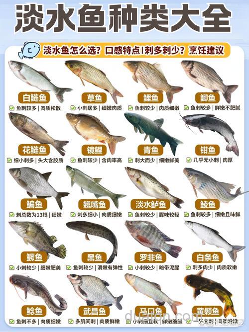自从千岛湖形成以后,80多种鱼在湖中安了家,有常见的草鱼.鲤鱼.鲢鱼,也有珍贵的鳜鱼.鲑鱼等。 用了什么