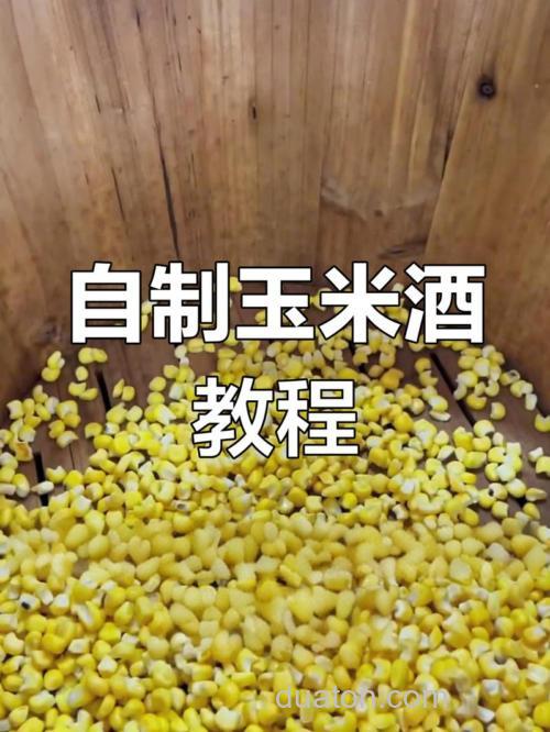 玉米粒酒糟做法?