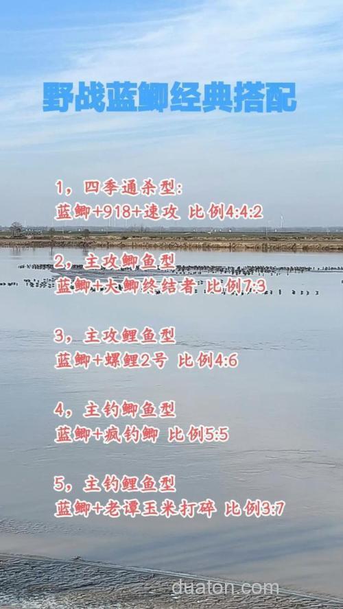 螺鲤九一八速攻怎么搭配？