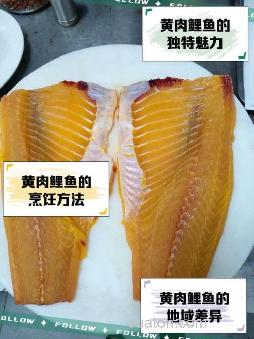 黄冠鲤的使用方法?