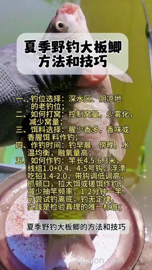 钓鲫鱼的方法和技巧