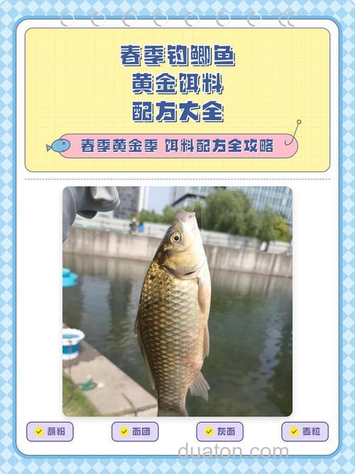 春季钓鲫鱼商品饵料怎么搭配