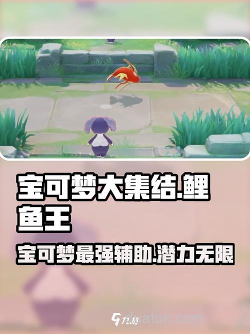 宝可梦探险寻宝鲤鱼王食谱攻略 鲤鱼王配方一览