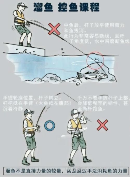 路亚钓鲤鱼方法和技巧?