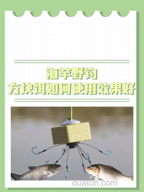 11月用海竿钓鱼用什么方块饵?