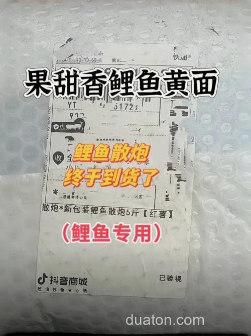 小黄面里面加什么状态饵料丸九钓鲤鱼好用吗?