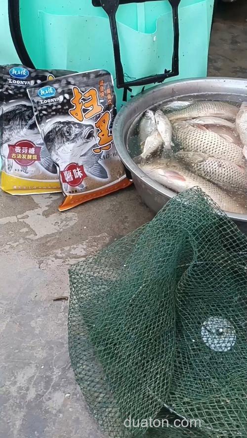 啤酒开饵料钓鲤鱼的真实效果？