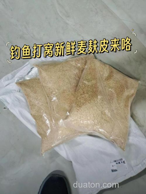 蒸麦子放曲粉发酵打窝钓鱼?
