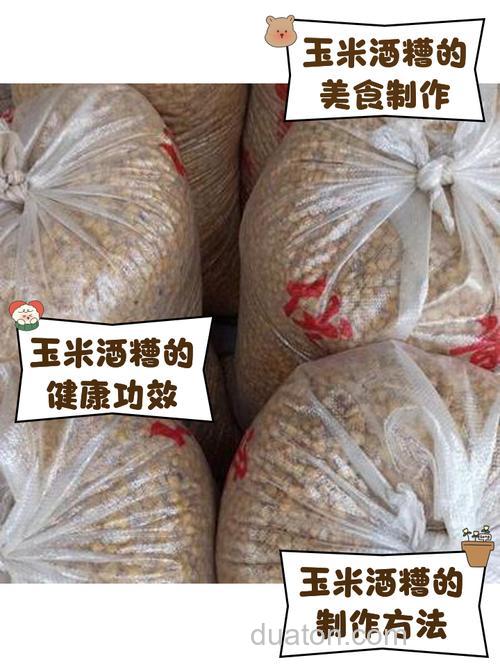 玉米酒糟使用方法?