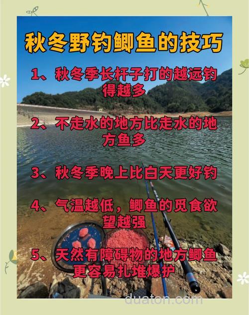 深秋初冬怎么钓鲫鱼才能有好的收获