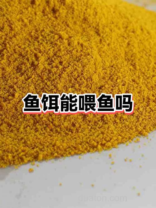 钓鱼的饵料喂鱼行吗？