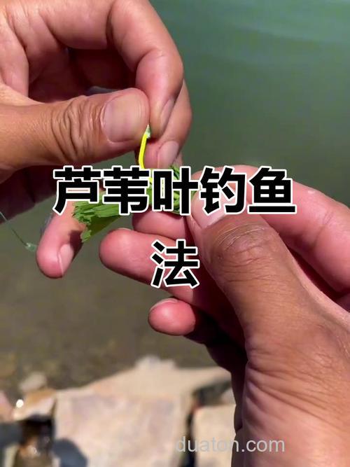 春天如何钓草鱼如何挂草