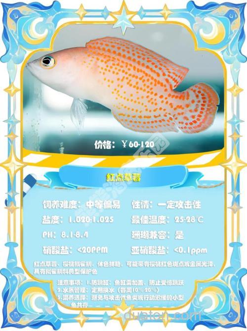 草鱼最怕什么水果?