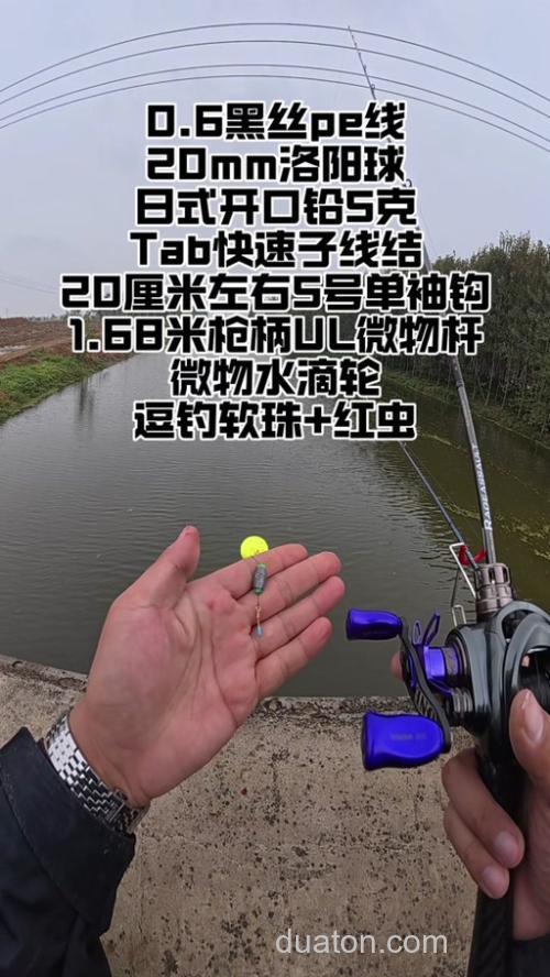 钓鲫鱼4号和6号加红魔怎么搭配?