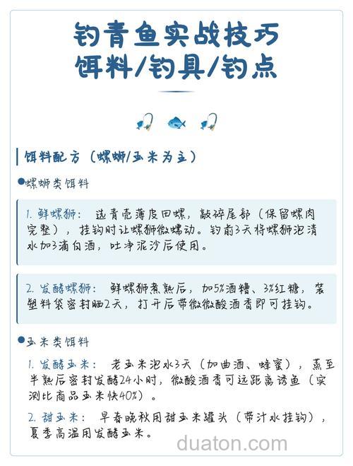 垂钓青鱼技巧大全配饵选点及注意事项