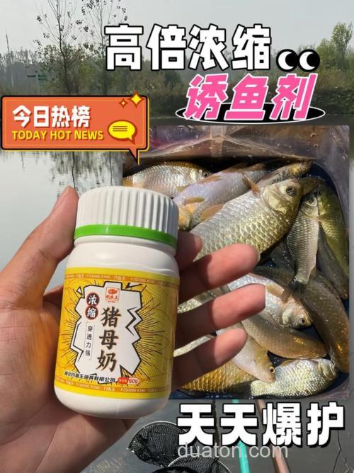 什么季节用奶味香精钓鱼?