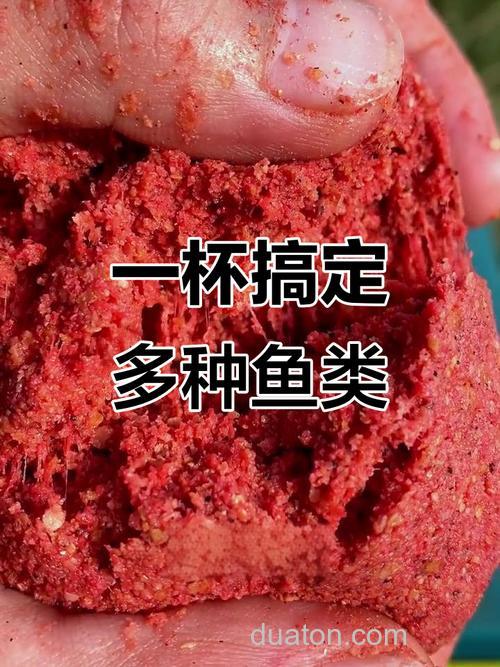 东季钓鲤草鱼最好饵料