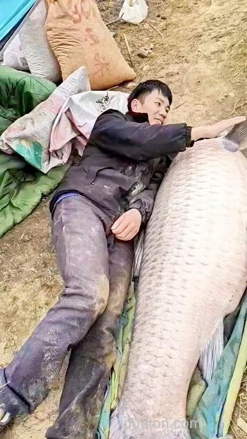 王桂龙武汉水库钓大青鱼(上)