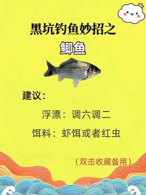 黑坑钓鱼想比别人钓的多怎么做