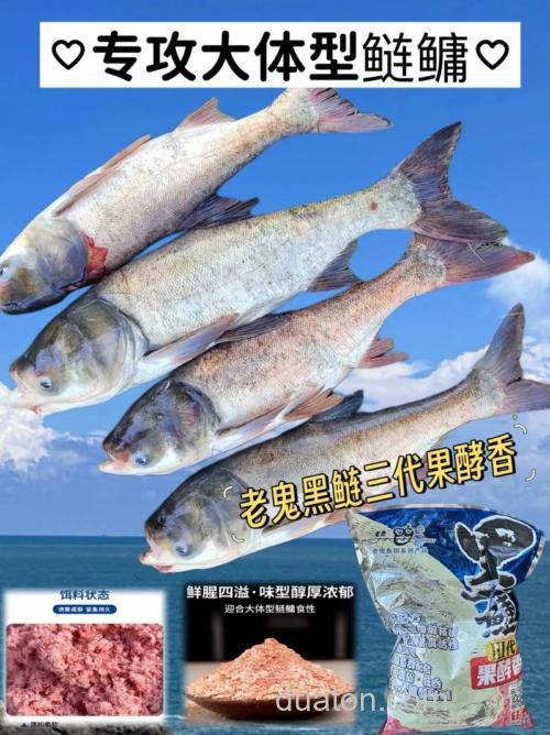 老鬼黑鲢开饵方法?