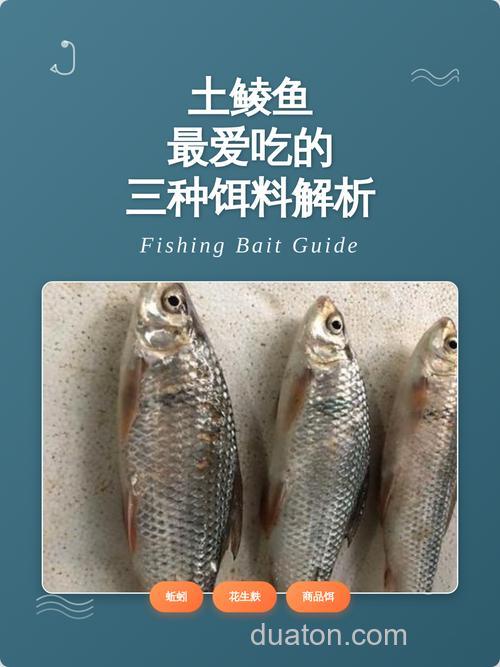 鲮鱼喜欢吃什么饵料 鲮鱼爱吃哪种饵料