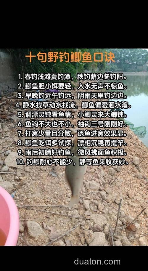 惊蛰野钓鲫鱼技巧