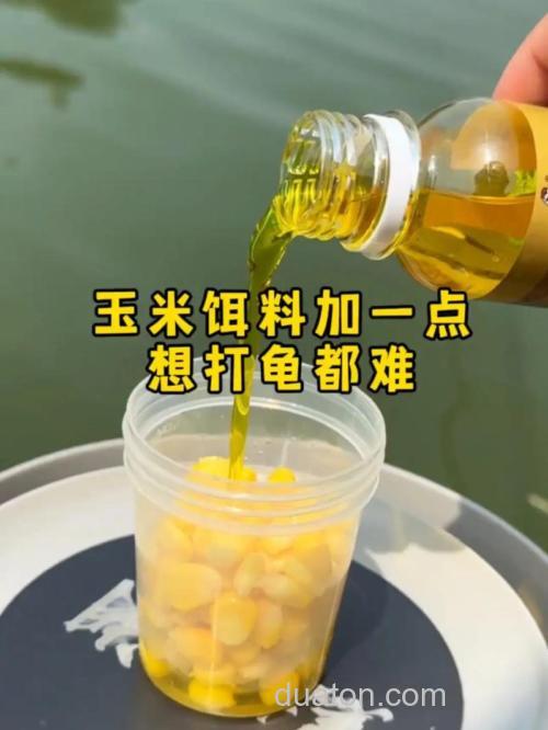 玉米做鱼饵料最佳配方?