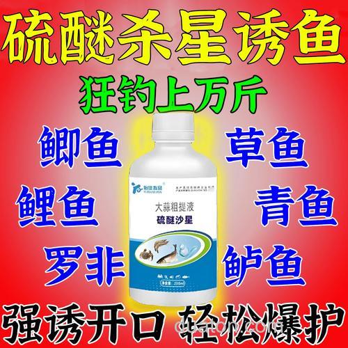 鱼塘钓鲤鱼用什么小药