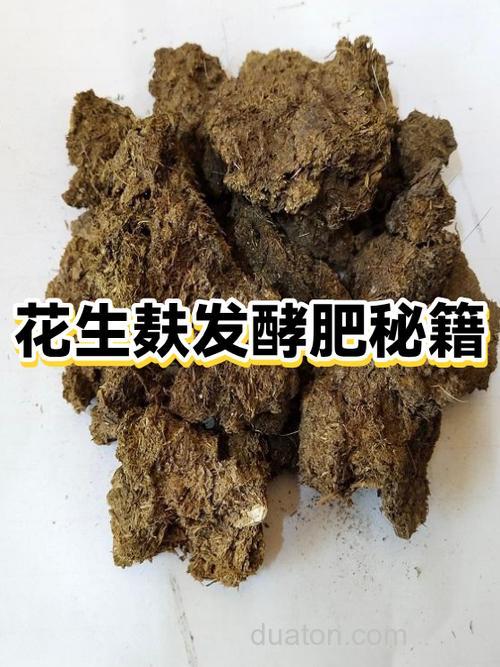 花生麸怎么发酵钓鲢鳙?