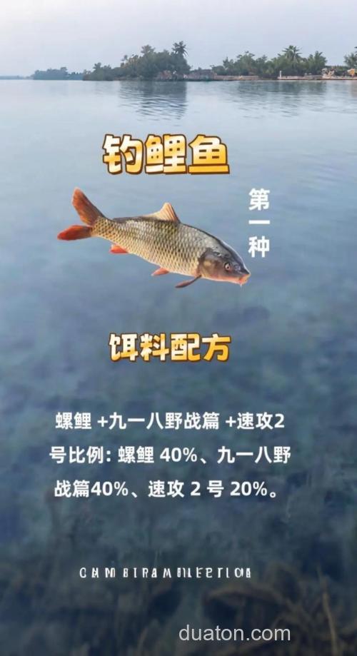 水库夜钓鲤鱼怎么配料?