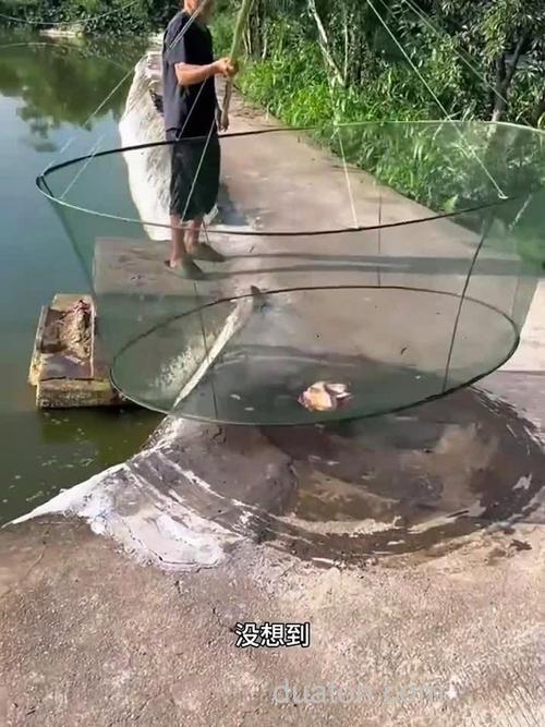 猪肉可以钓鱼吗?