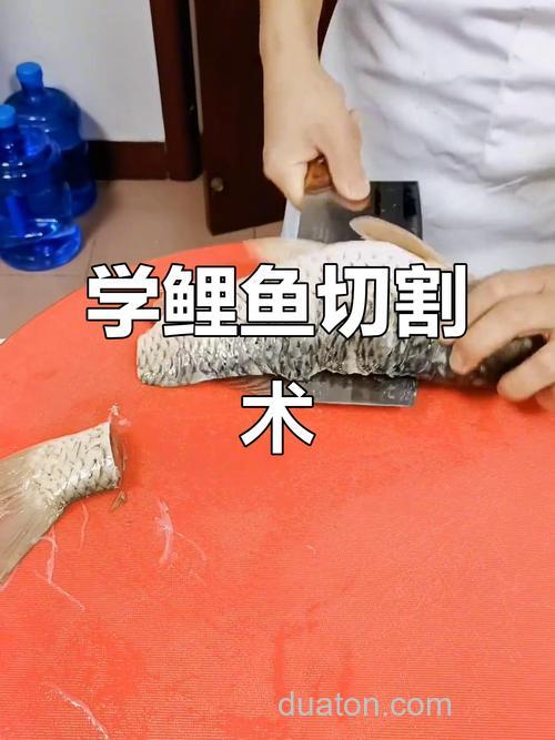 杀理鱼的方法的过程