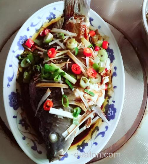 无甲鲤鱼怎么做好吃