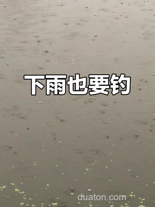 昨天刚下完雨,寻思去临近水池里钓鲫鱼,小弟是个菜鸟,今天刚用的酒泡好米,想明天用蚯蚓去钓,请大师们帮