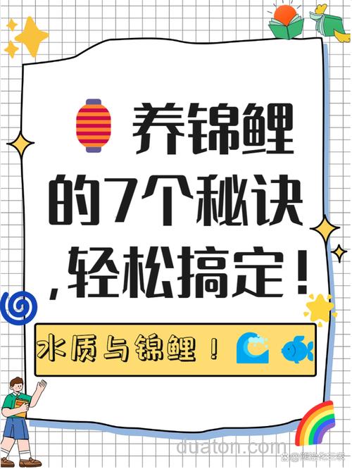 牛b鲤正确使用方法?