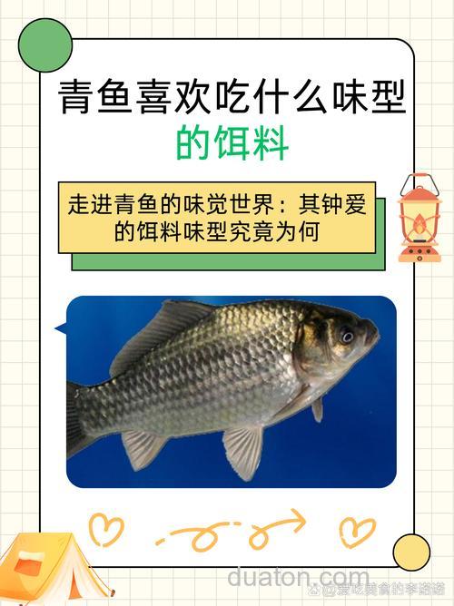 青鱼喜欢酒味饵料吗?