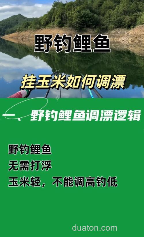 挂玉米钓鲤鱼怎么调漂