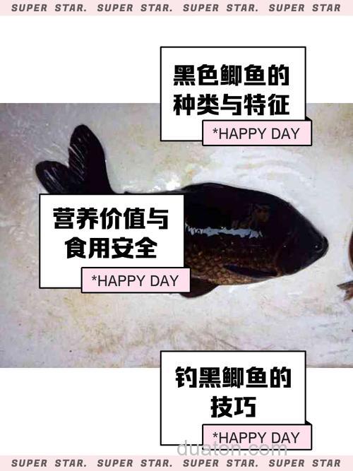 鲫鱼吃黑蚯蚓吗?