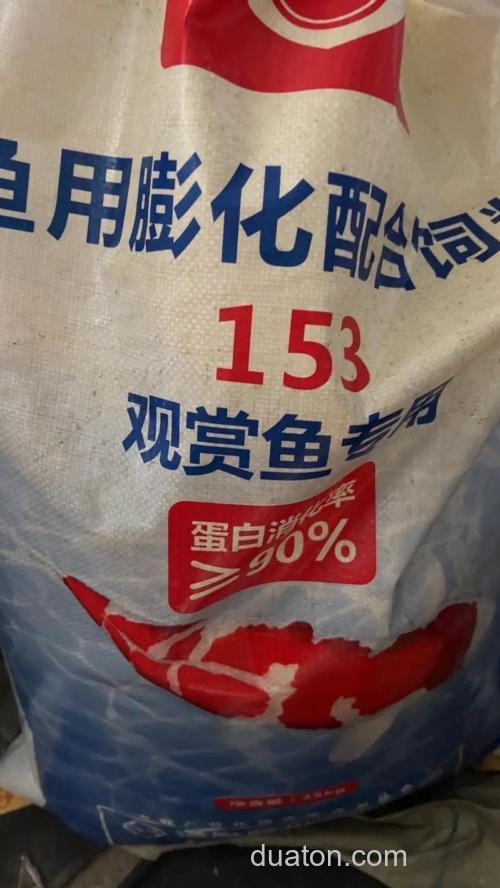 鲤鱼喜欢什么味的饲料?