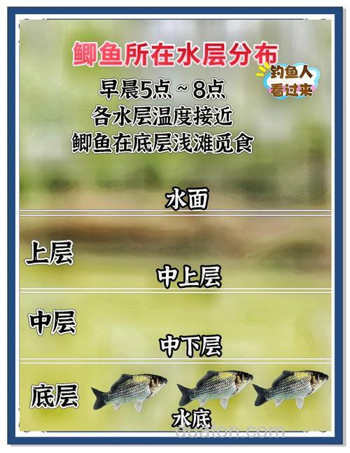 野河台钓钓鲫鱼如何找准鱼群位置技巧分享