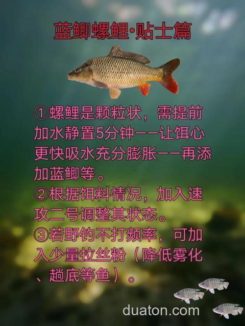 全能香蓝鲫加螺鲤?